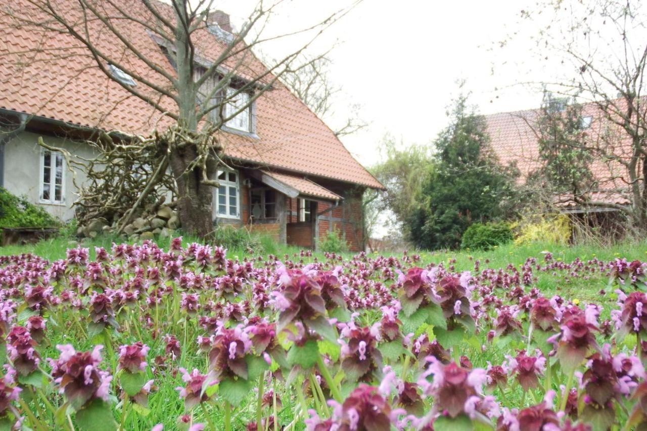 Ferienhof Rauchhaus Karft Buitenkant foto